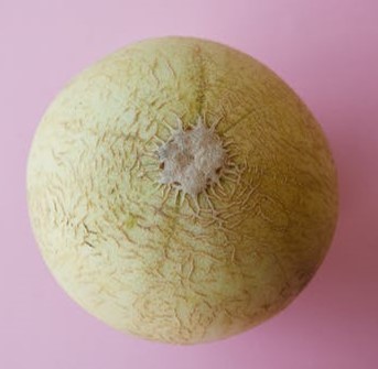 Melon-1Kg