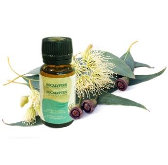 Eucalyptus huile essentielle 10ml